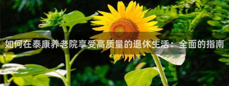 韦德惨案