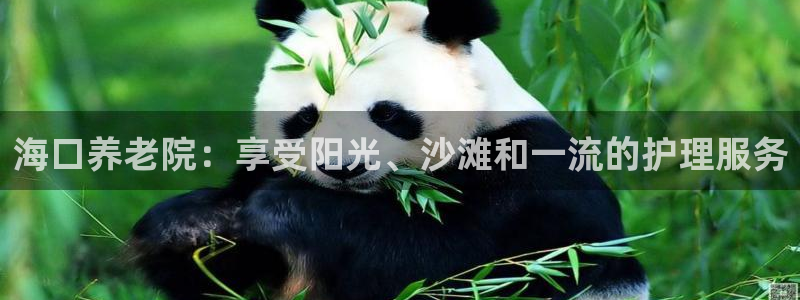 韦德网站是多少