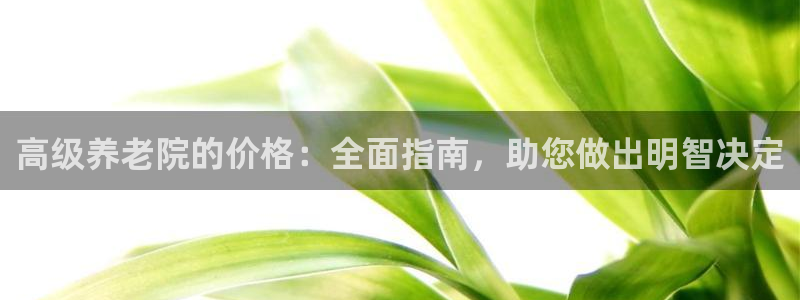 韦德网站是多少