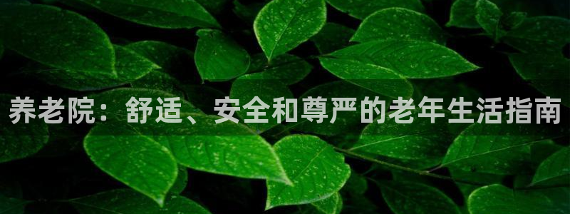 韦德1567