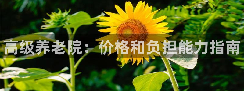 韦德1946手机
