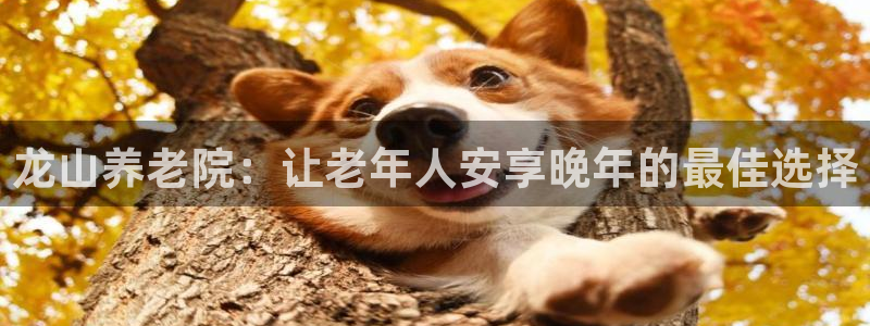 韦德1946体育官方入口
