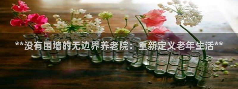 韦德bietview官网