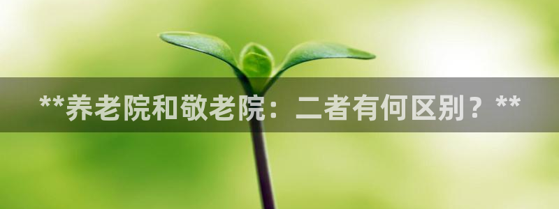 韦德1946娱乐手机版
