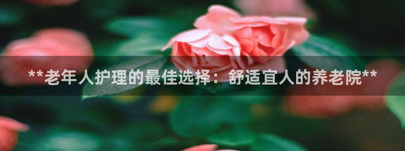 1946韦德找回密码