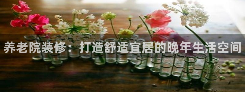 韦德游戏是什么