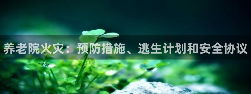 韦德1946bv1946