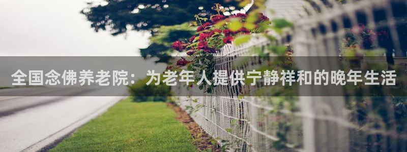 韦德1946娱乐手机版