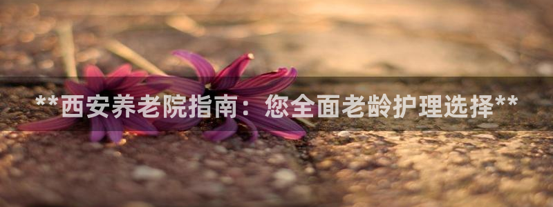 韦德app手机下载