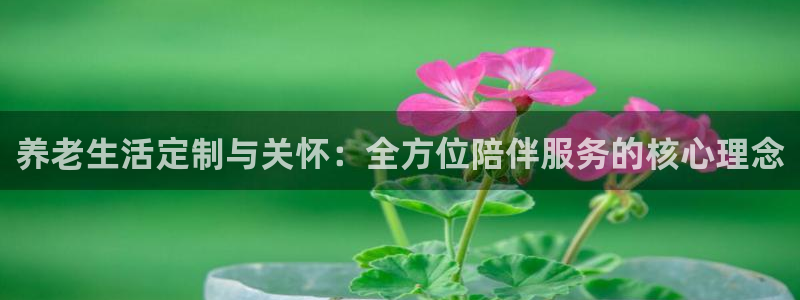 韦德合集