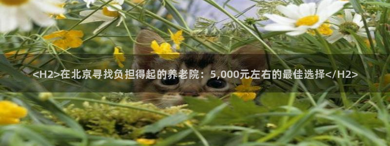 韦德官方网址大全