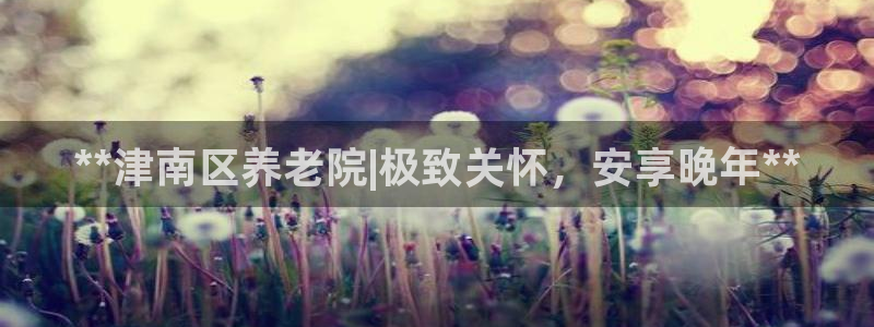 韦德1946博客