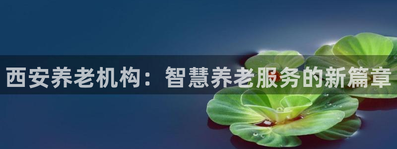 韦德网址是多少