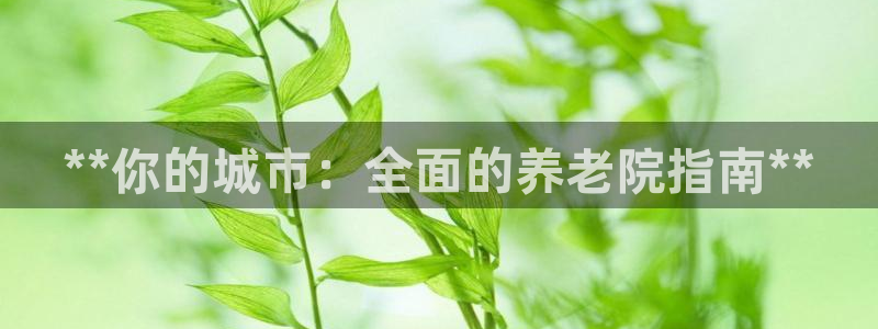 韦德2014