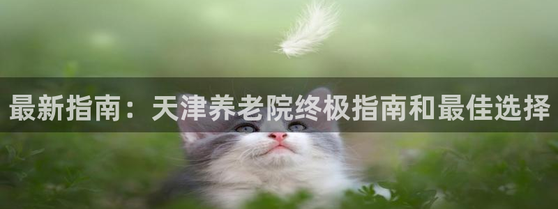 韦德1946娱乐手机版