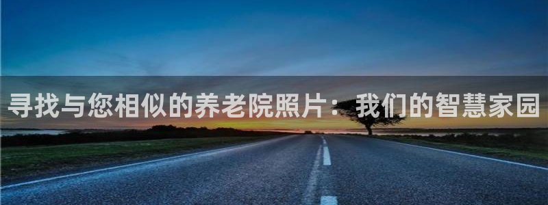 韦德的游戏