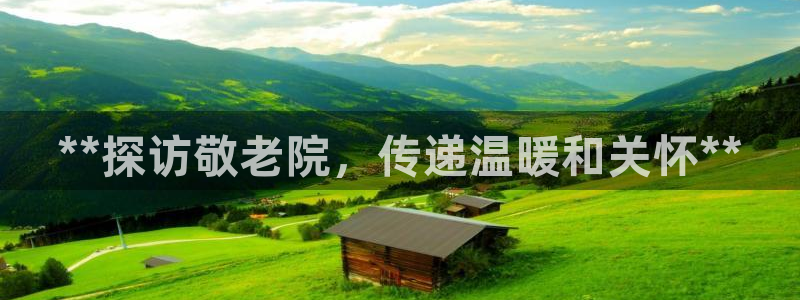 韦德 网站