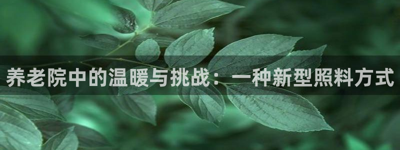 韦德网站是多少