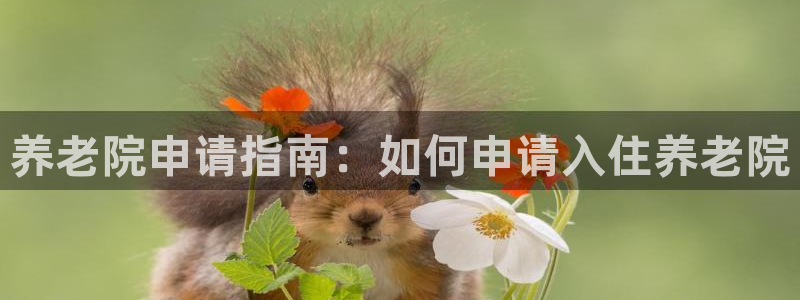 韦德betvlctor1946