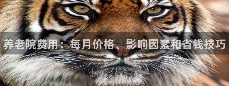 韦德1946下载