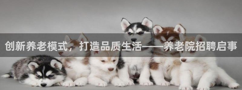 韦德官方下载