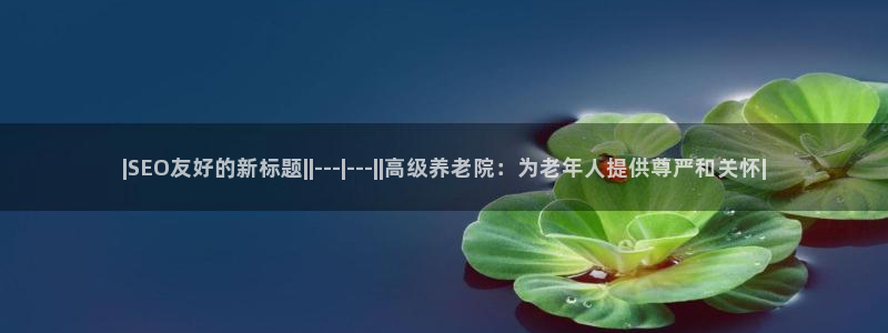 韦德是哪个