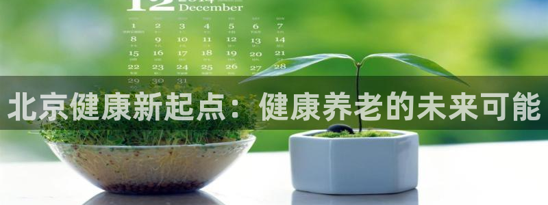 韦德属于什么