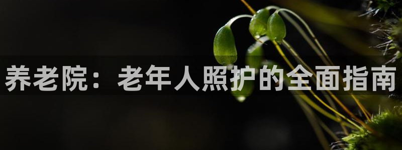 韦德app手机下载