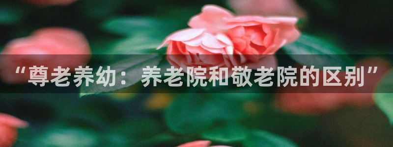 韦德的地位