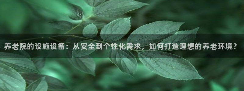 韦德游戏是什么