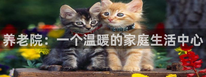 韦德游戏大厅