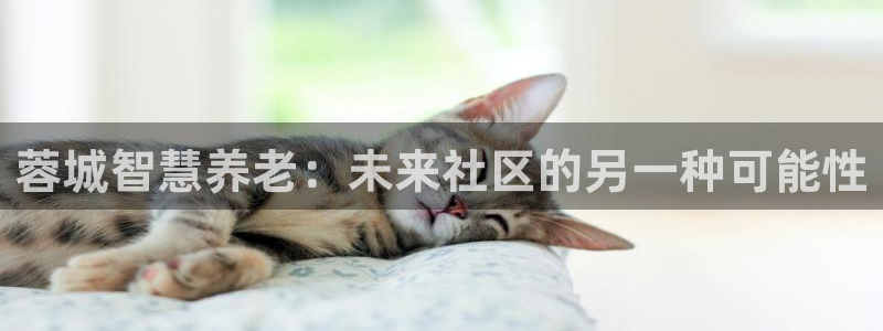 韦德1946娱乐