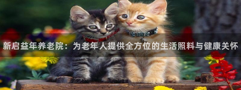 韦德app官方网站