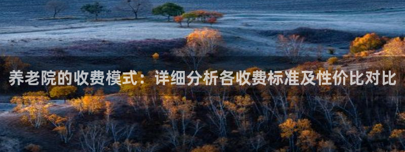 韦德网址是多少