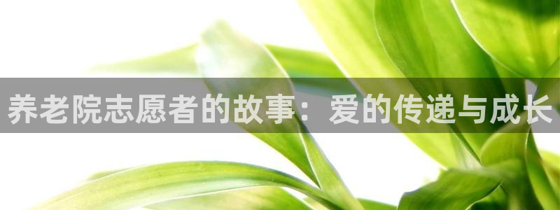 韦德1946
