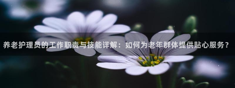 韦德合集