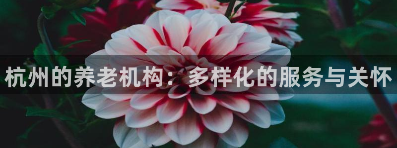 韦德 1946