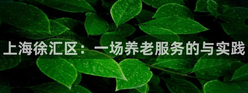 韦德 官网