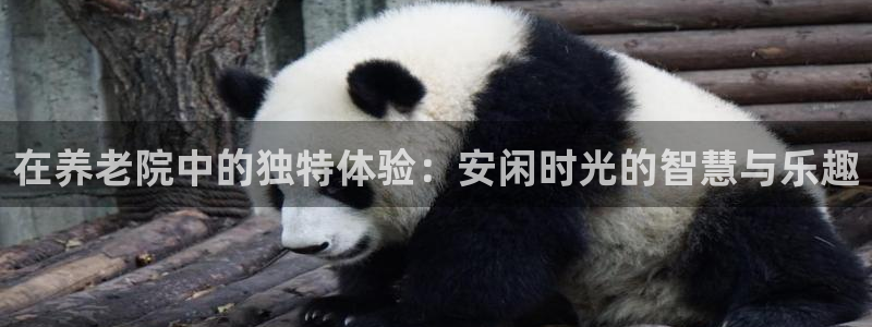 韦德官方网址大全