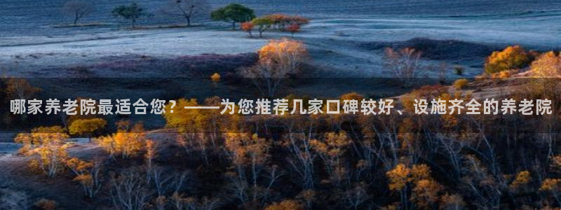 韦德是哪一届