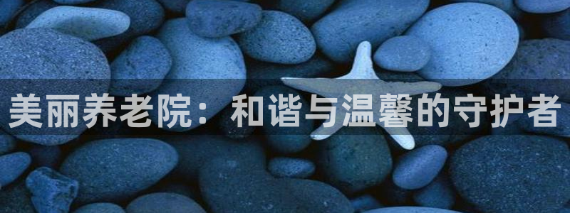 bet韦德1946