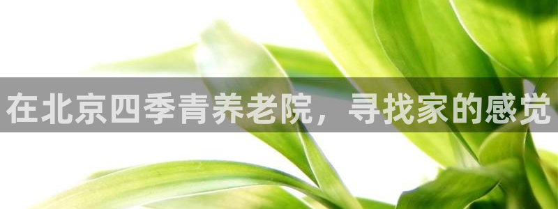 1946韦德找回密码