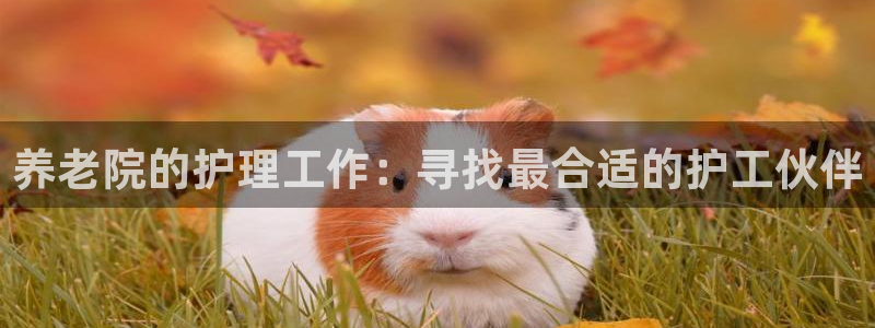 韦德新品