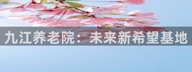 韦德的游戏
