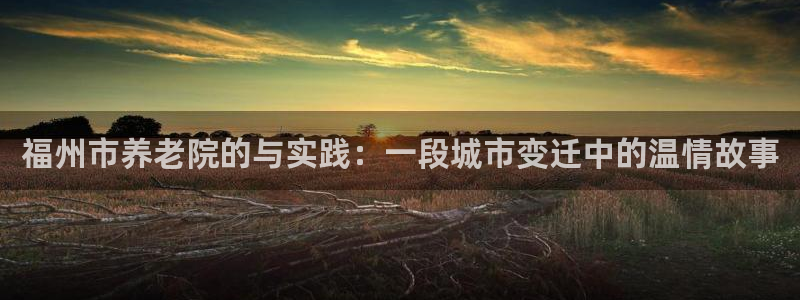 韦德合集
