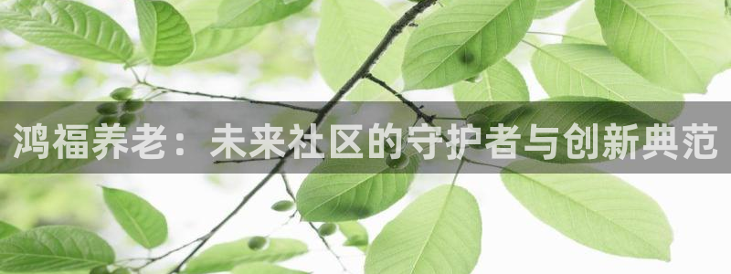 韦德游戏是什么