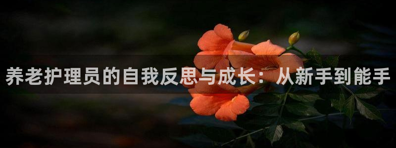 韦德官网在线