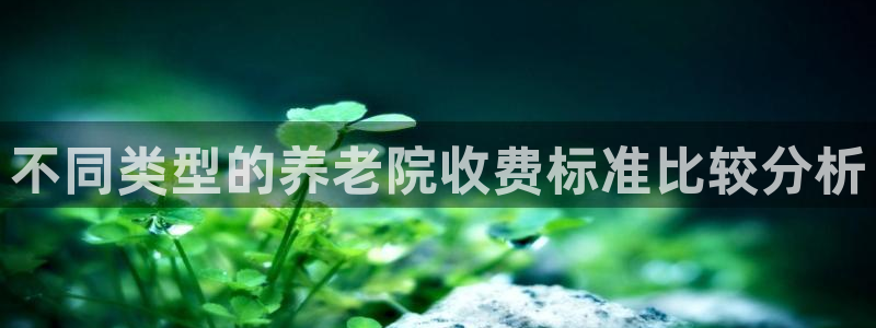 韦德网站是多少