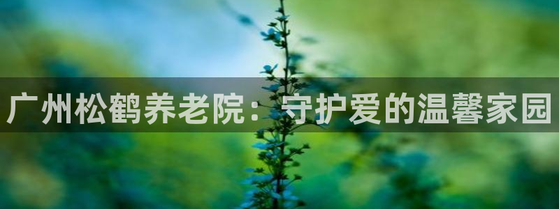 韦德bietview官网