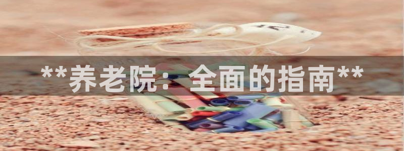 韦德网站是多少